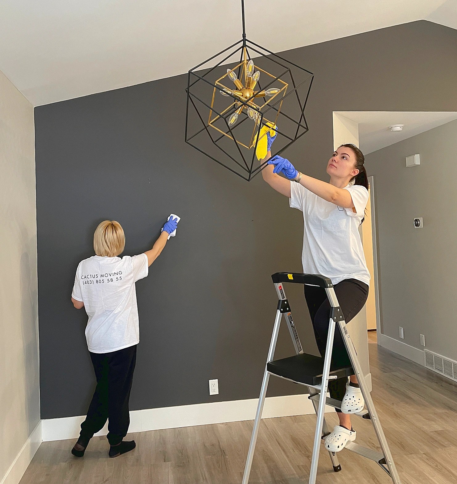 Cleaning Services In Calgary Calgary Cleaners 🌵 Cactus Cleaning